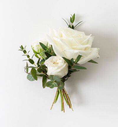 Stilren knapphullsblomst med hvit rose Stilren knapphullsblomst med hvit rose